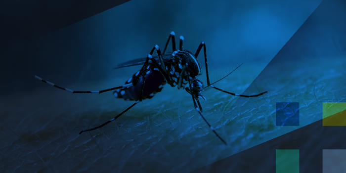 CFM alerta para a importância das ações de prevenção e cuidados com a dengue